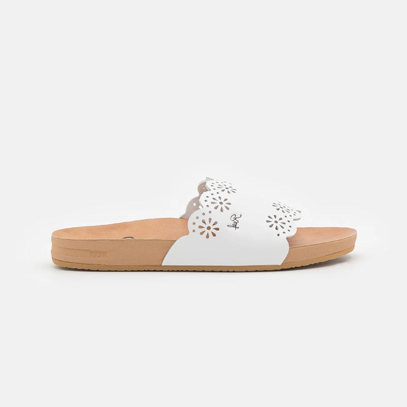 Reef Cushion Scallop Scout Cloud