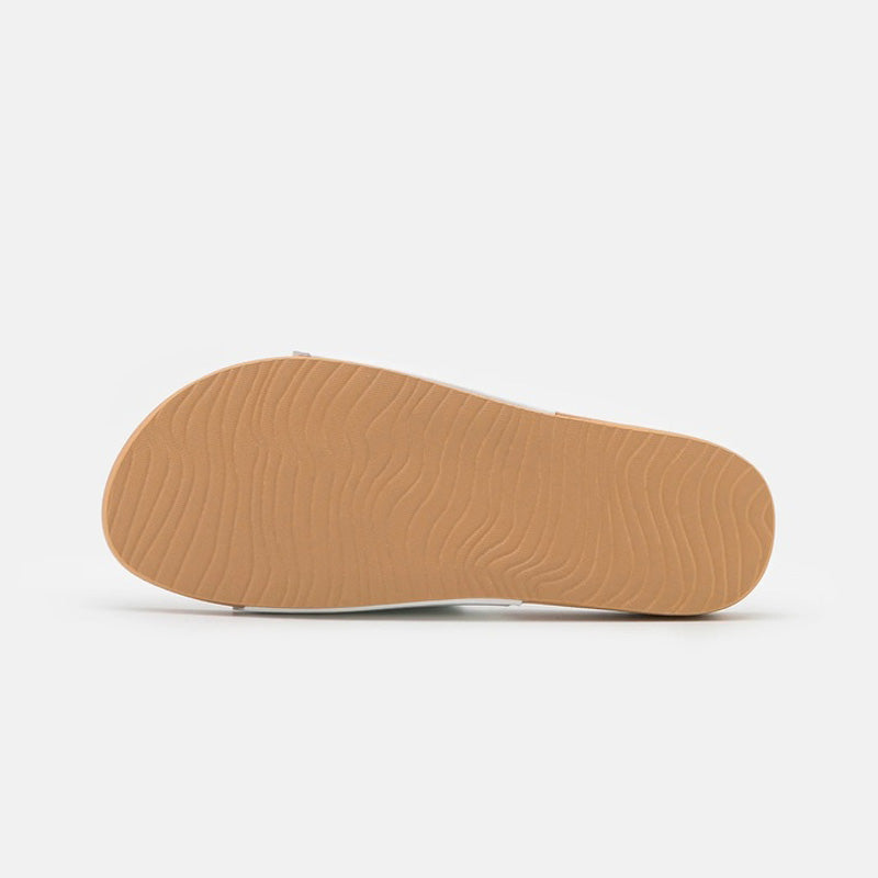 Reef Cushion Scallop Scout Cloud 1