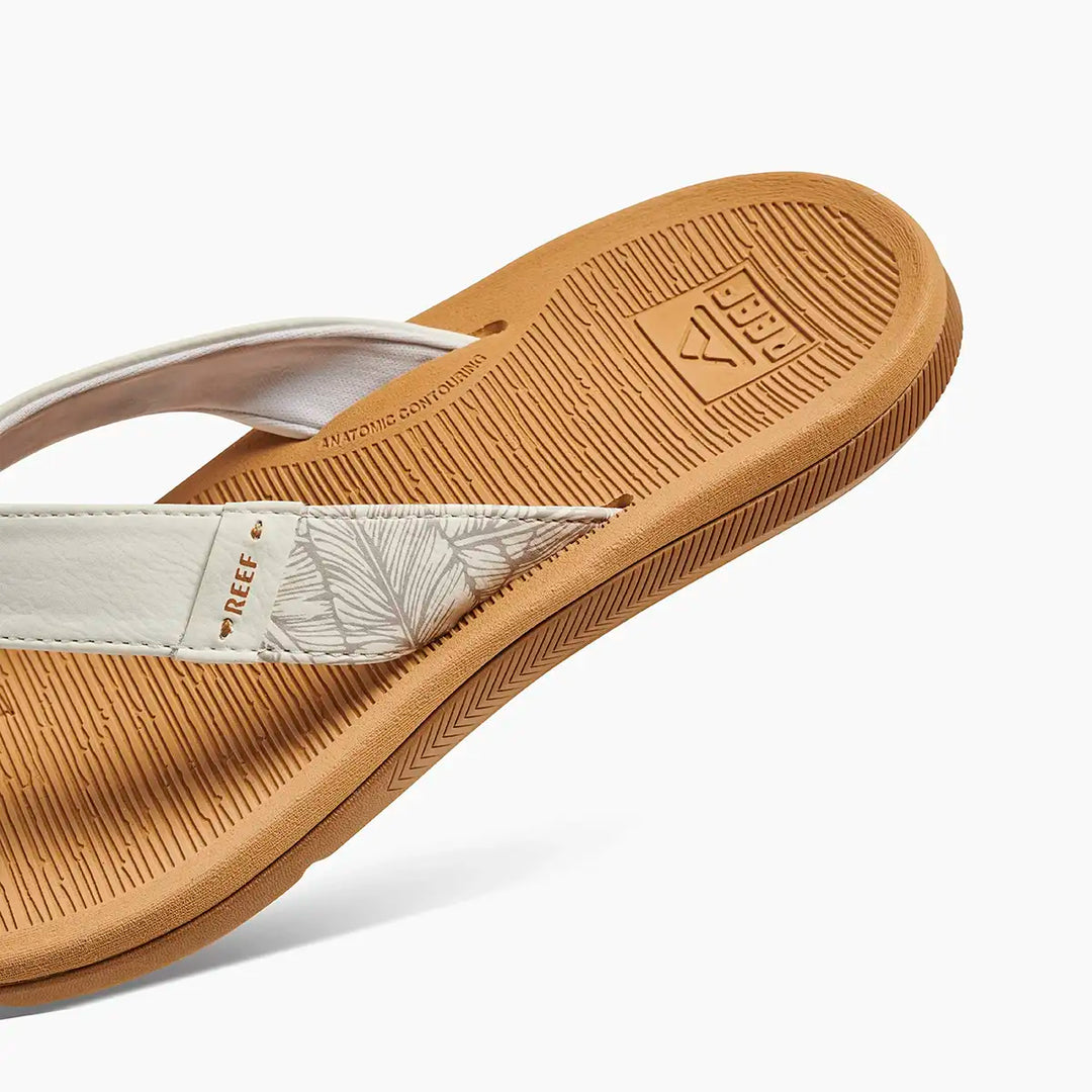 Reef Santa Ana Cloud 6