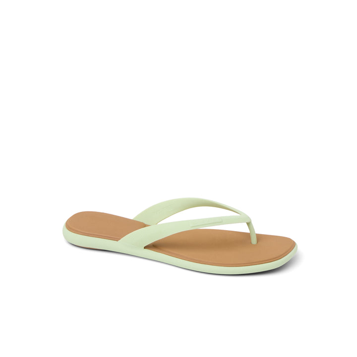 Reef Water Willow Malibu Ambrosia Tan thumbnail 2