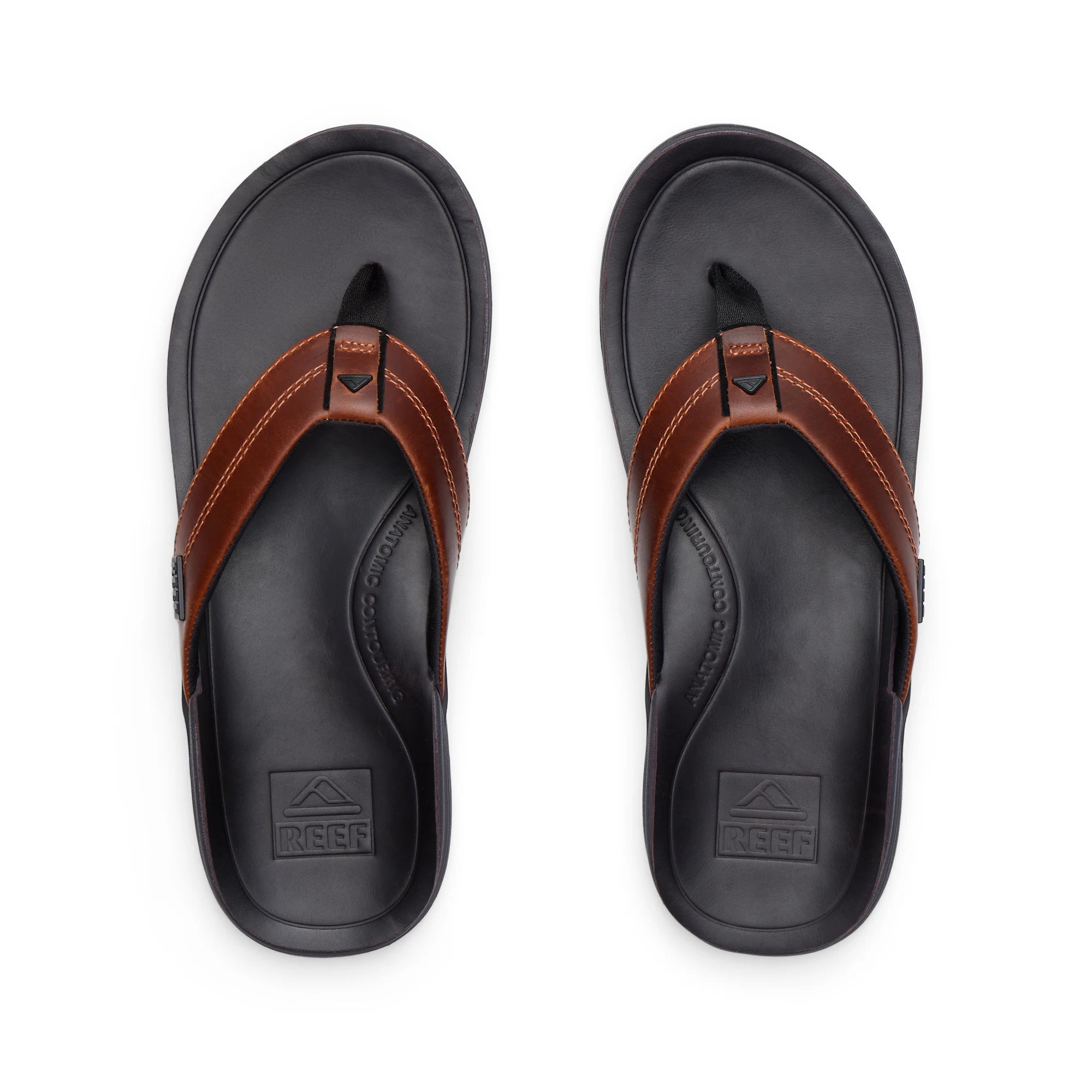 Reef eu De Offici le Reef Webshop Reef Europe Reef eu De Offici le Reef Webshop Reef Europe
