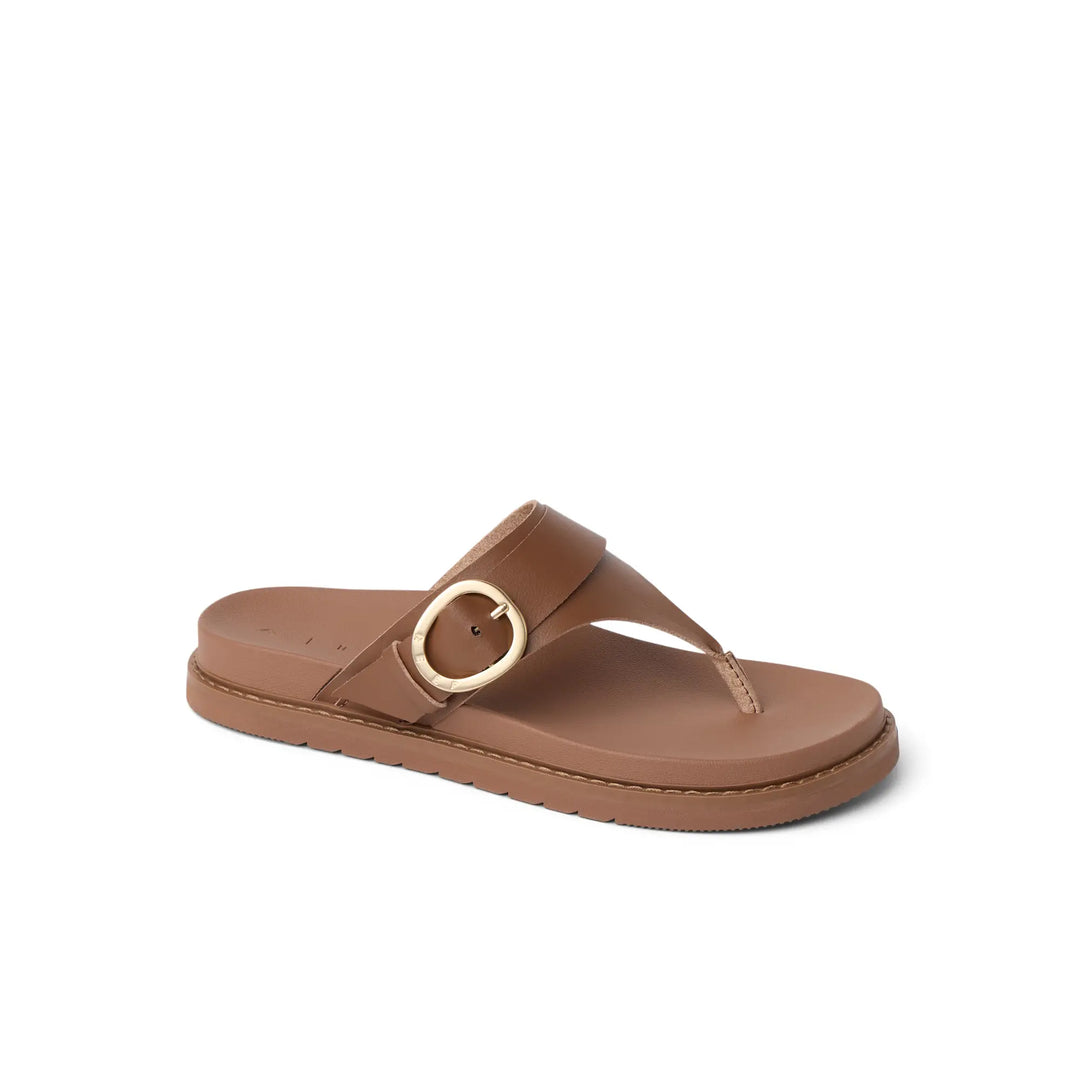 Reef Vista Gabriella Chocolate 2