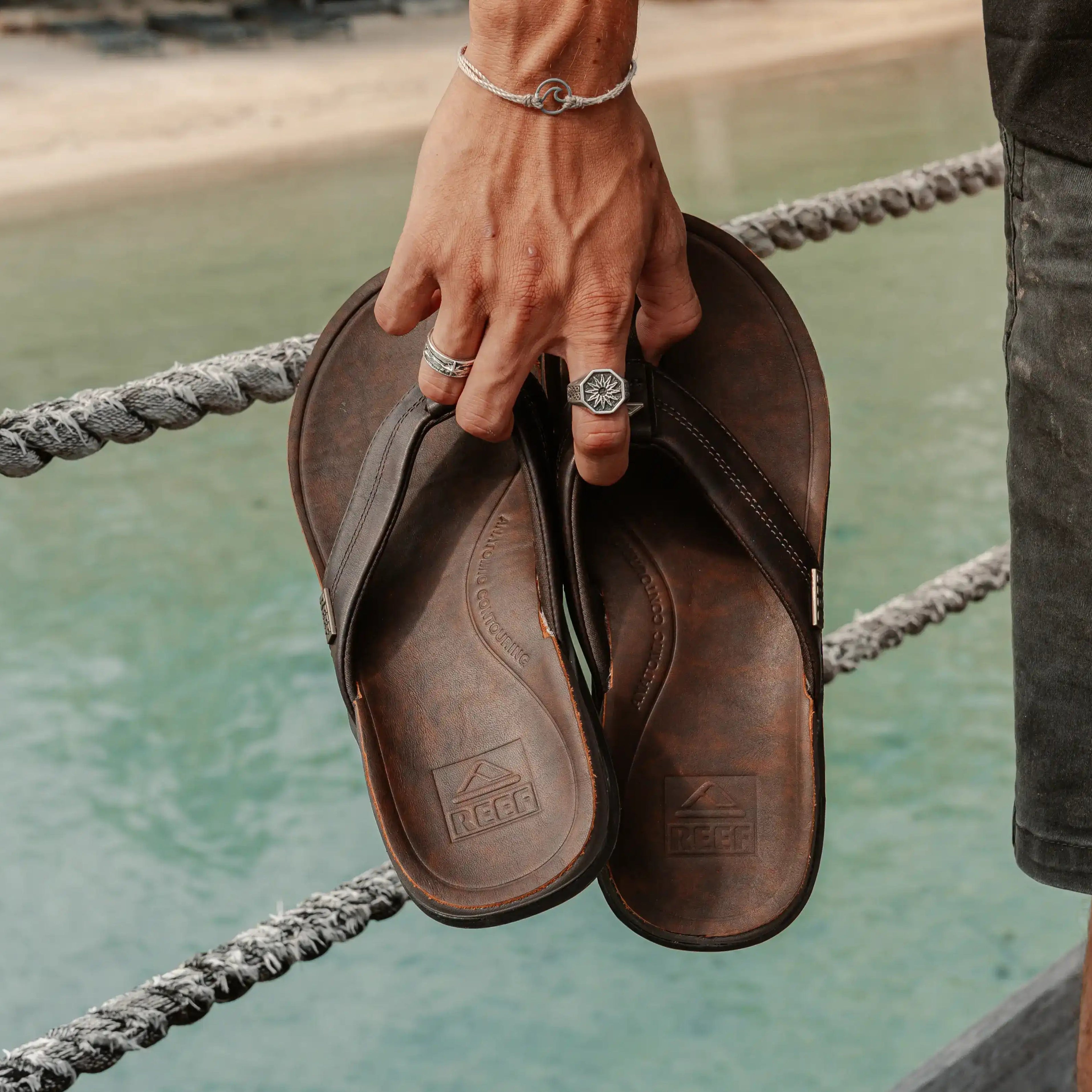 Reef eu De Offici le Reef Webshop Reef Europe Reef eu De Offici le Reef Webshop Reef Europe
