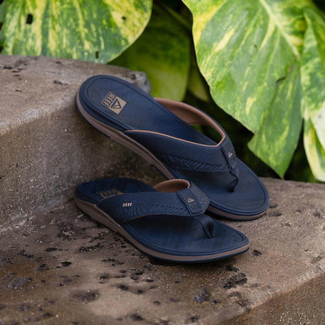 Reef Offshore Black Gum 1